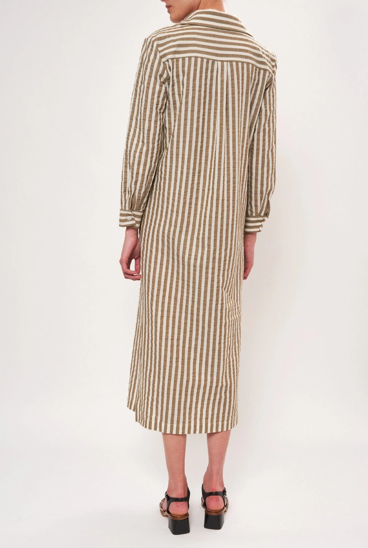 Luján Olive 4 Luján Olive - Imagen 4